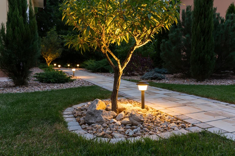 Illuminated garden pathway with bollard lights and small tree at night