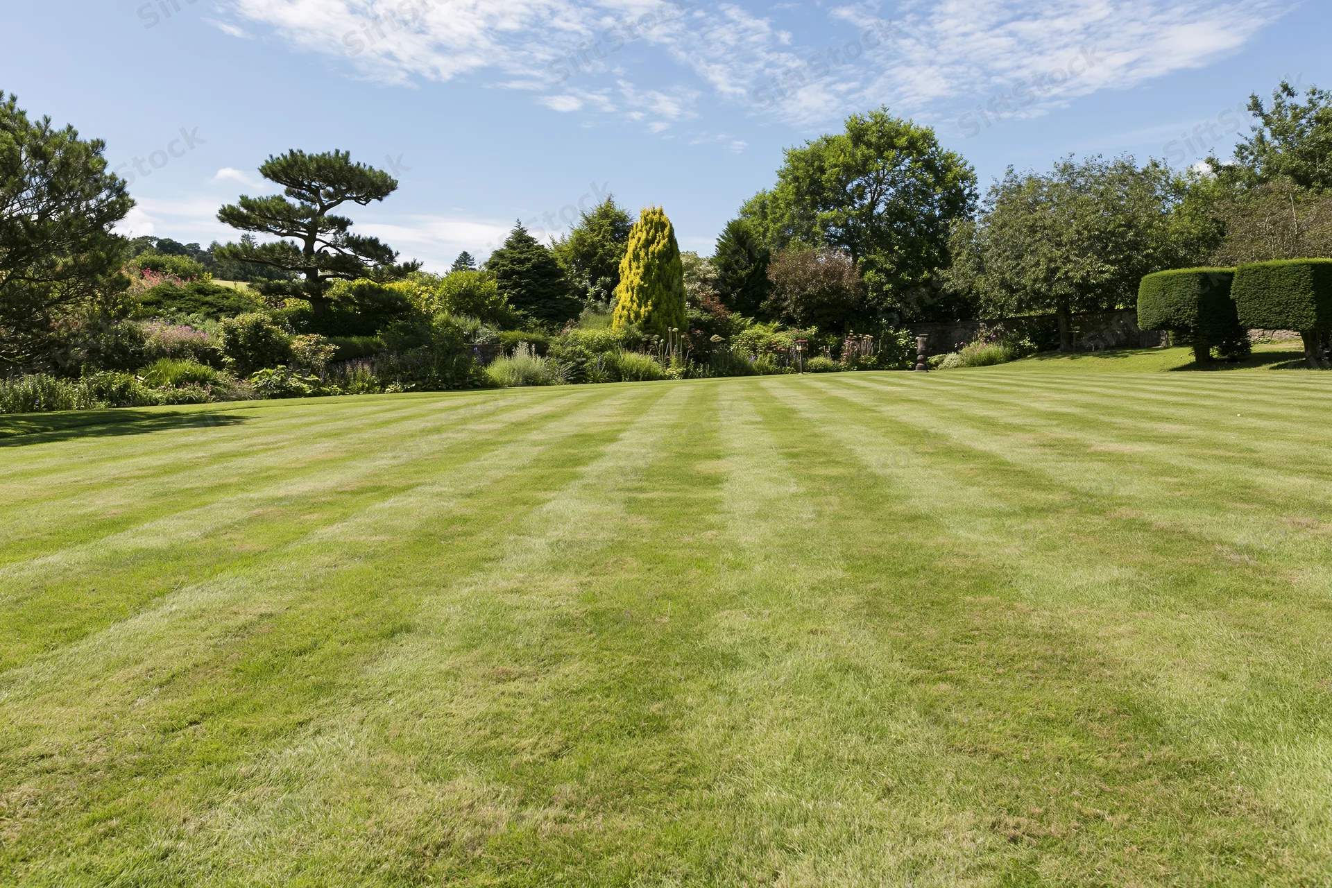 Striped lawn in an english country garden with hedges and trees under a blue sky