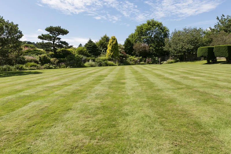 Striped lawn in an english country garden with hedges and trees under a blue sky