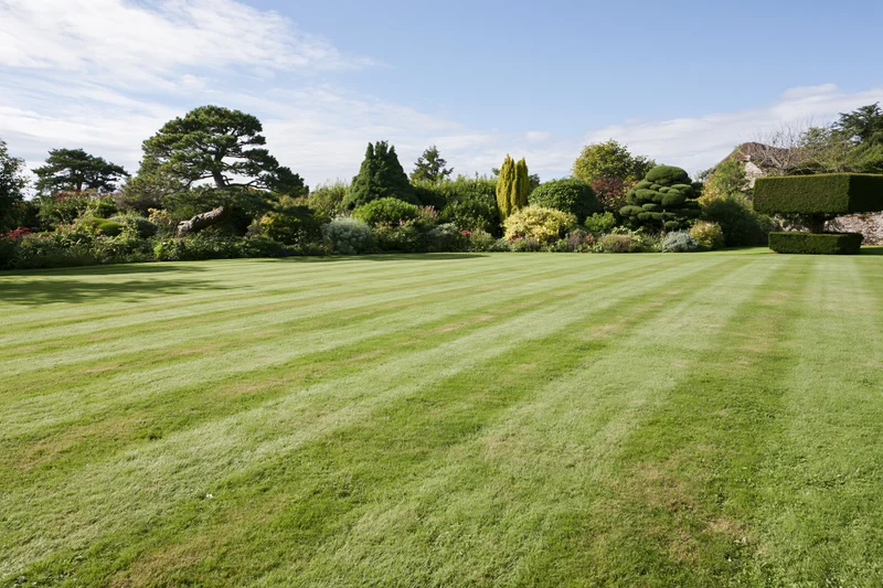 Striped lawn in a formal english country garden with topiary and shrubs under a clear sky