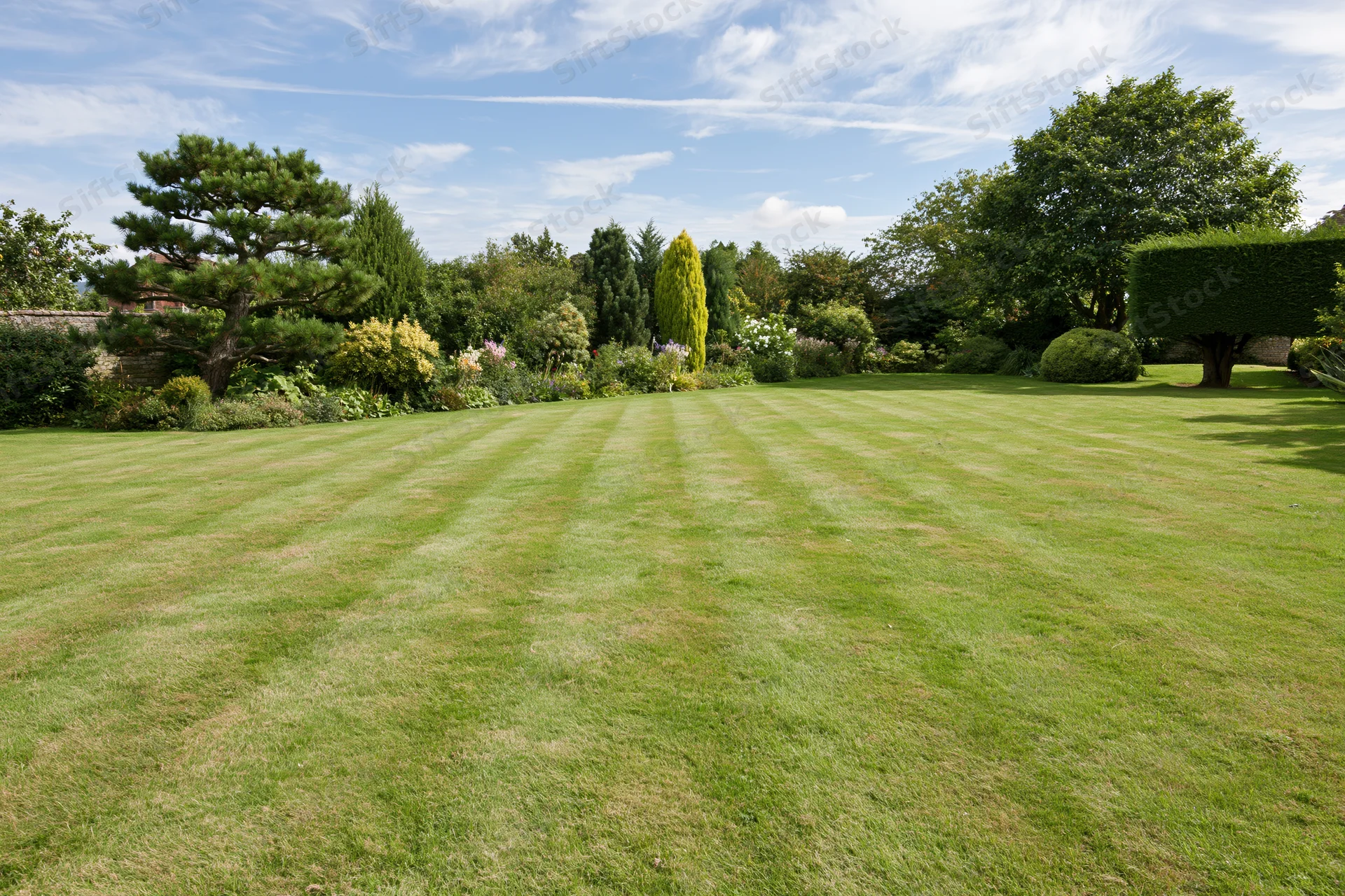 Striped lawn in an english country garden with hedges and trees under a blue sky