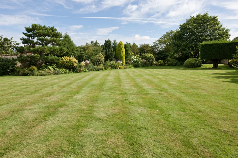 Striped lawn in an english country garden with hedges and trees under a blue sky