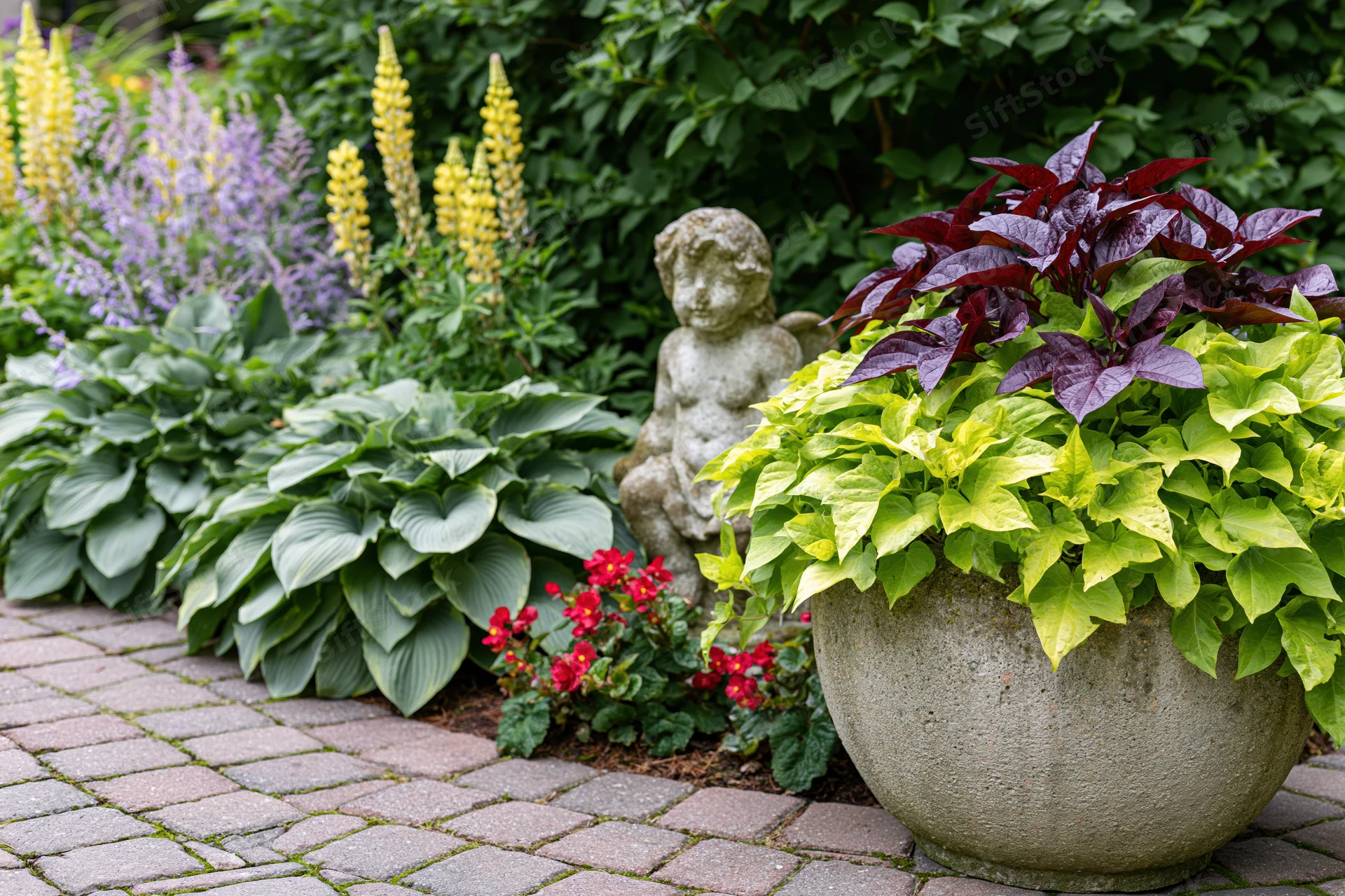 Lush garden border with hosta plants, yellow lupine, purple flowers, and a stone cherub statue beside a potted plant on a brick pathway