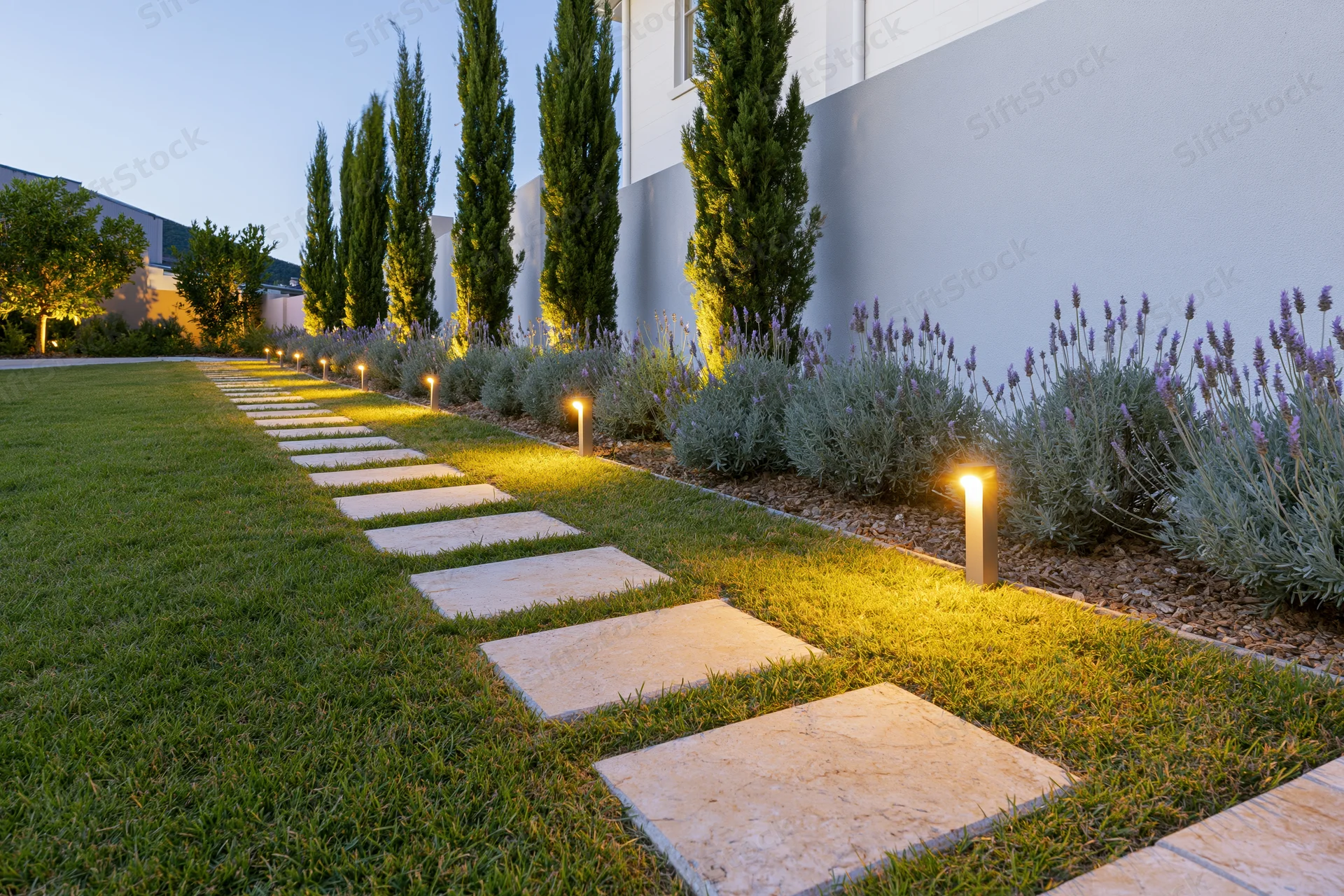 Modern residential garden at dusk with stepping stones along a grassy pathway lined with cypress trees and lavender shrubs, illuminated by low-voltage lights