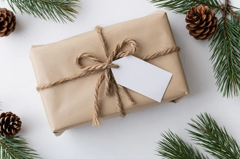 Rectangular gift wrapped in kraft paper with twine bow and blank tag on white surface surrounded by pine branches and pinecones