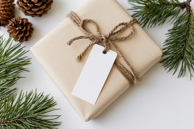 Rectangular gift wrapped in kraft paper with twine bow and blank tag, surrounded by pine branches and pinecones on white surface