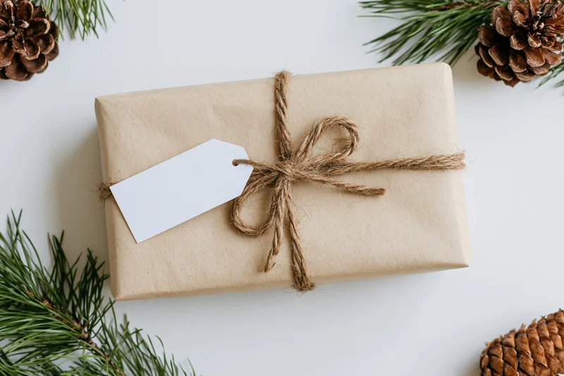 Rectangular gift wrapped in kraft paper with twine bow and blank tag on white surface surrounded by pine branches and pinecones