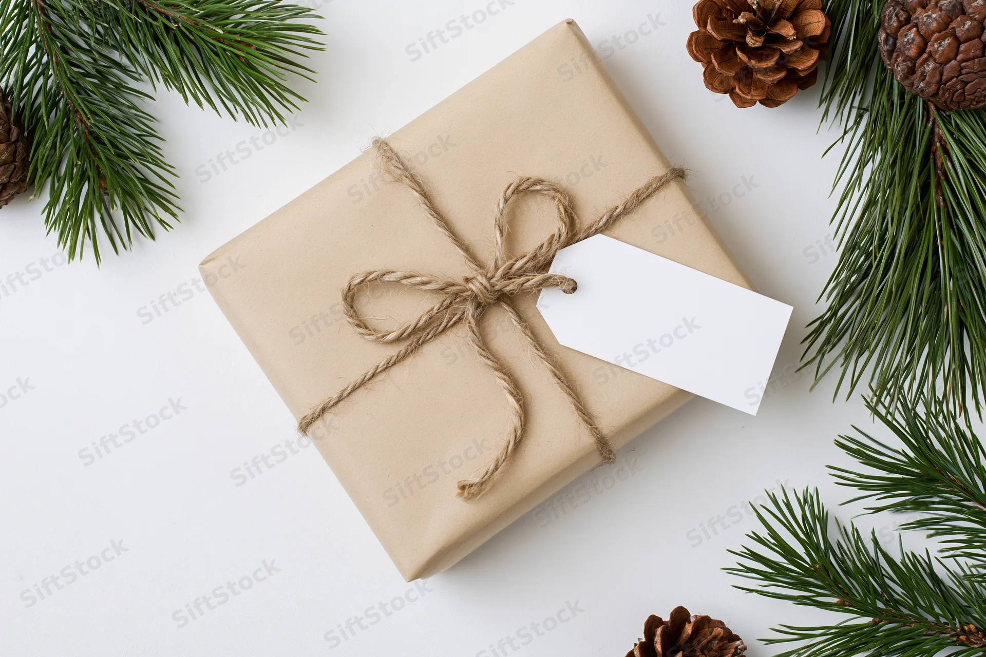 Rectangular gift wrapped in kraft paper with twine bow and blank tag, surrounded by pine branches and pinecones on white surface