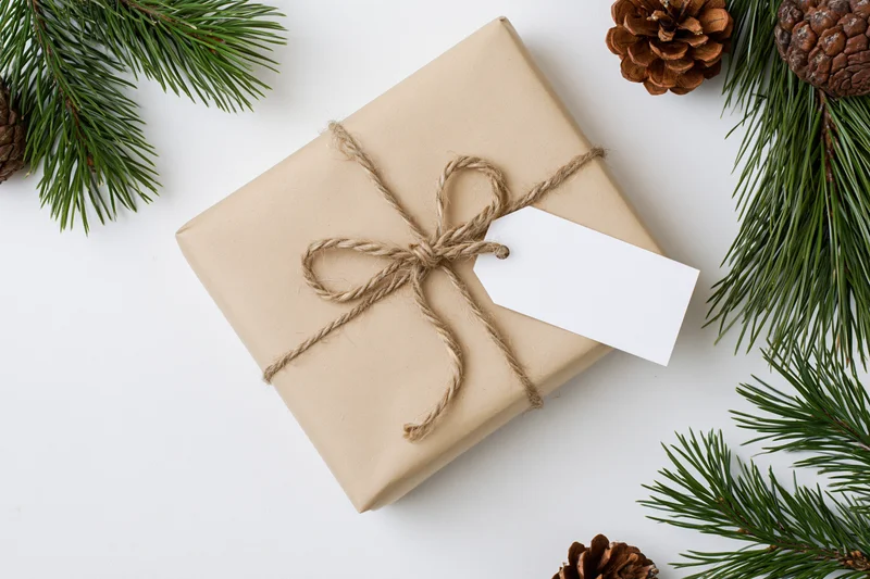 Rectangular gift wrapped in kraft paper with twine bow and blank tag, surrounded by pine branches and pinecones on white surface
