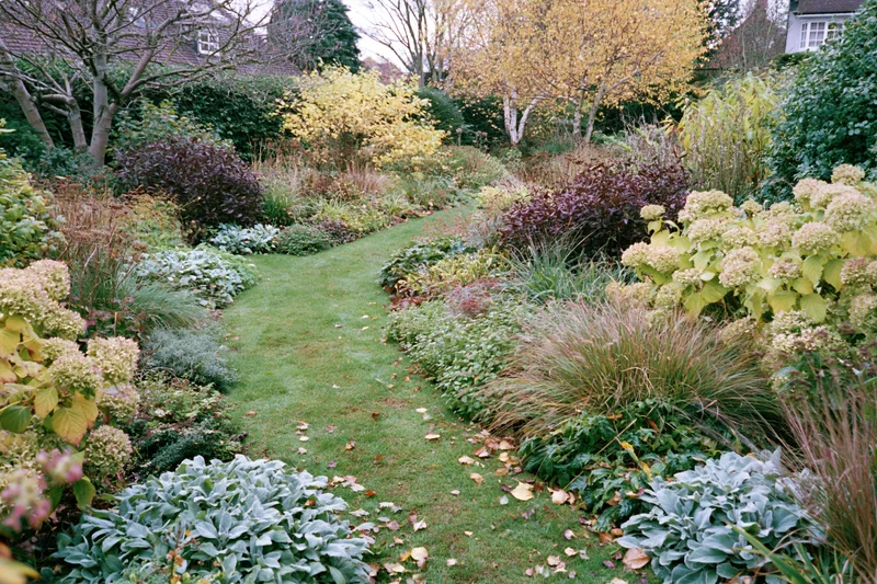 Curving grass path through autumn garden bordered by colorful foliage and shrubs