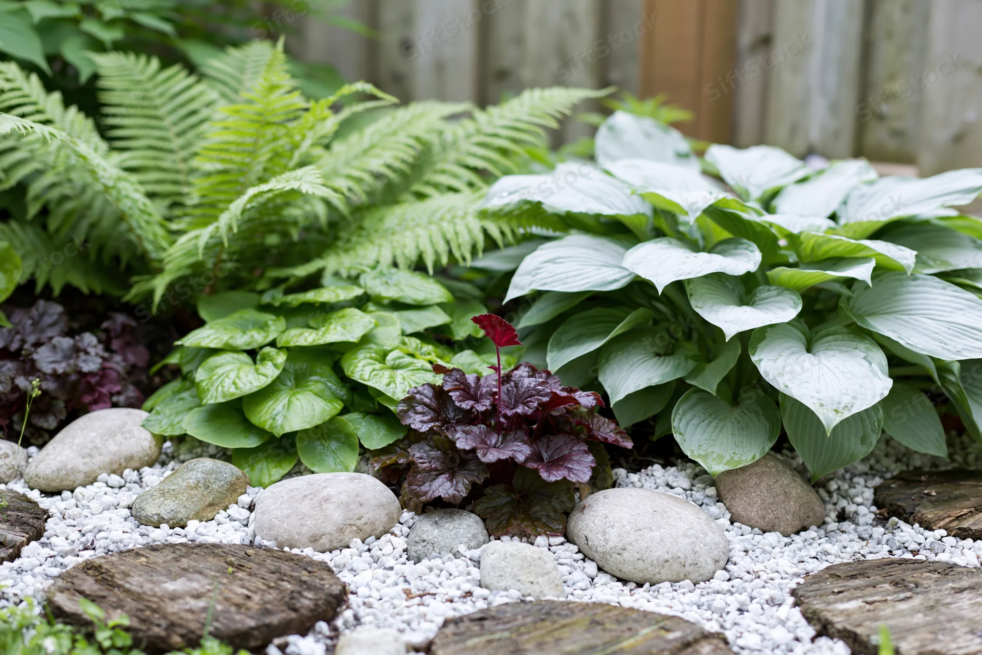 Shaded garden bed with hostas and ferns among white pebbles and stepping stones