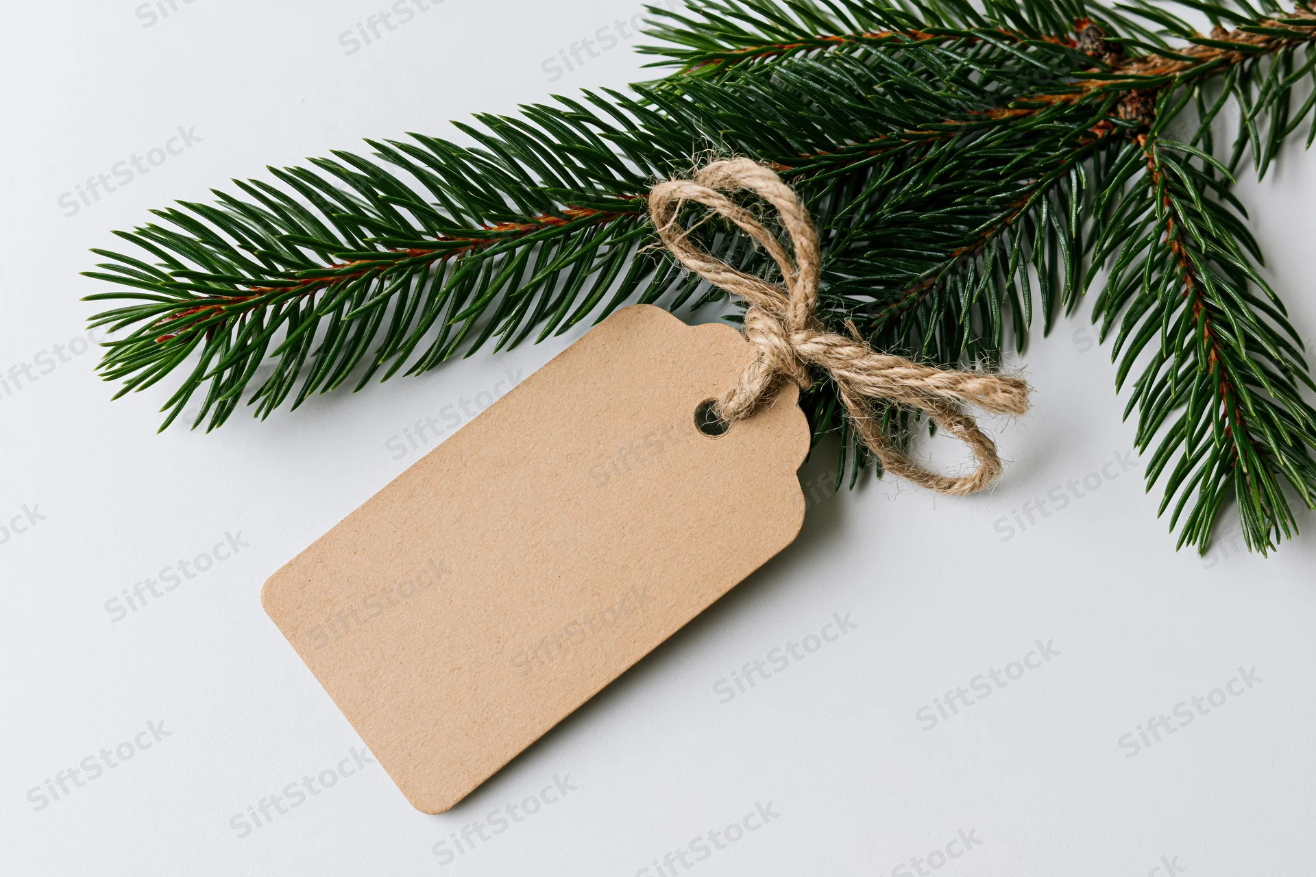 Fir branch with blank kraft tag tied by twine on white surface