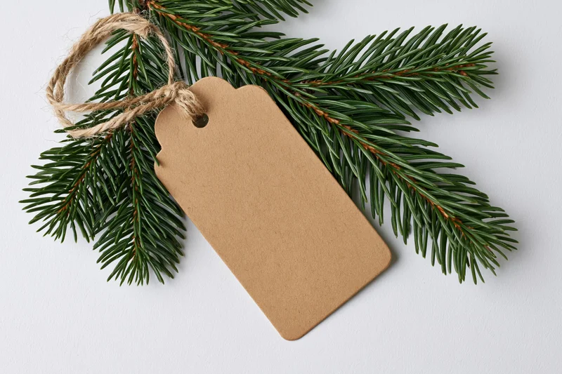 Fir branch with blank kraft paper tag tied with twine on white background