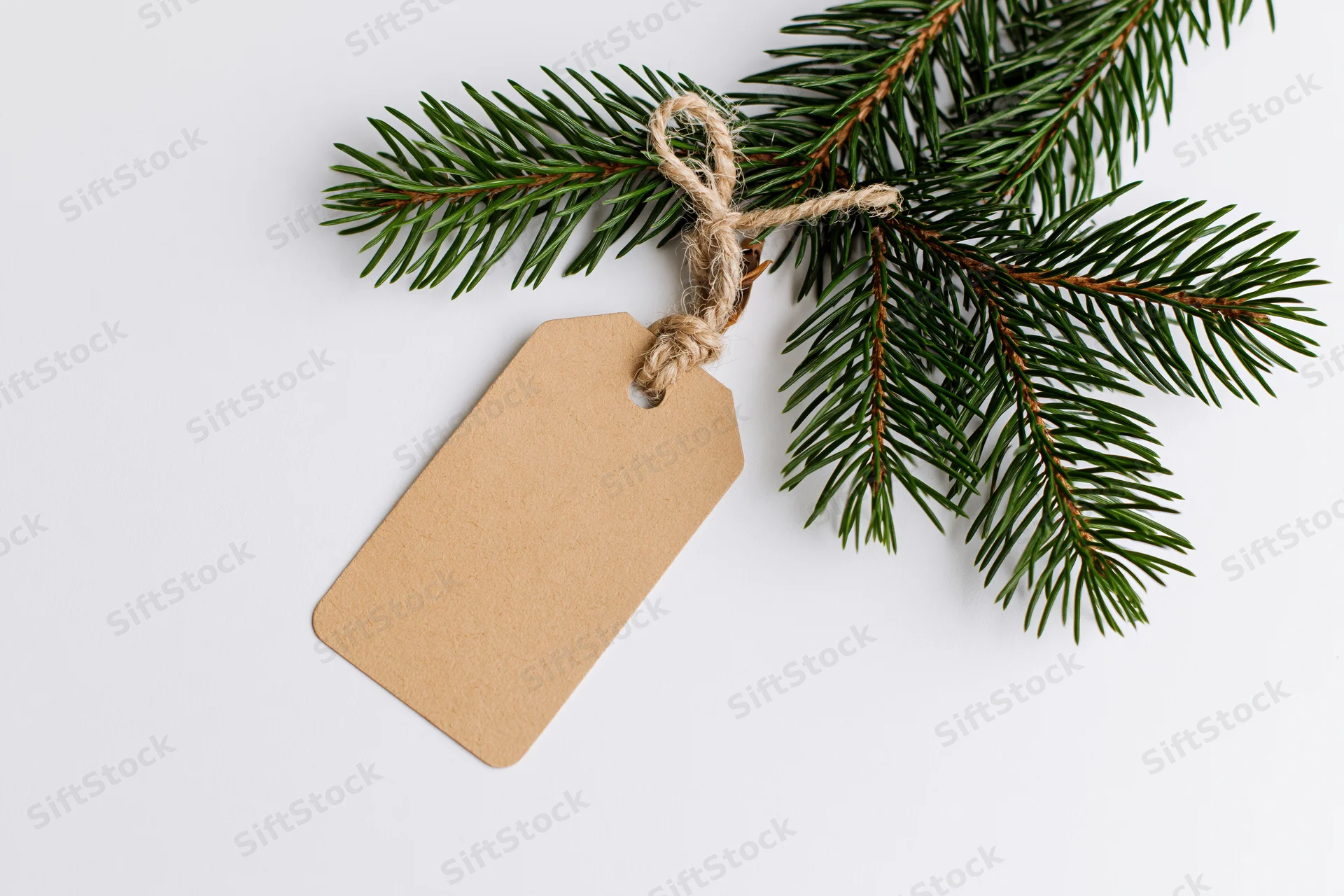Fir branch with blank kraft paper tag tied with twine on white background