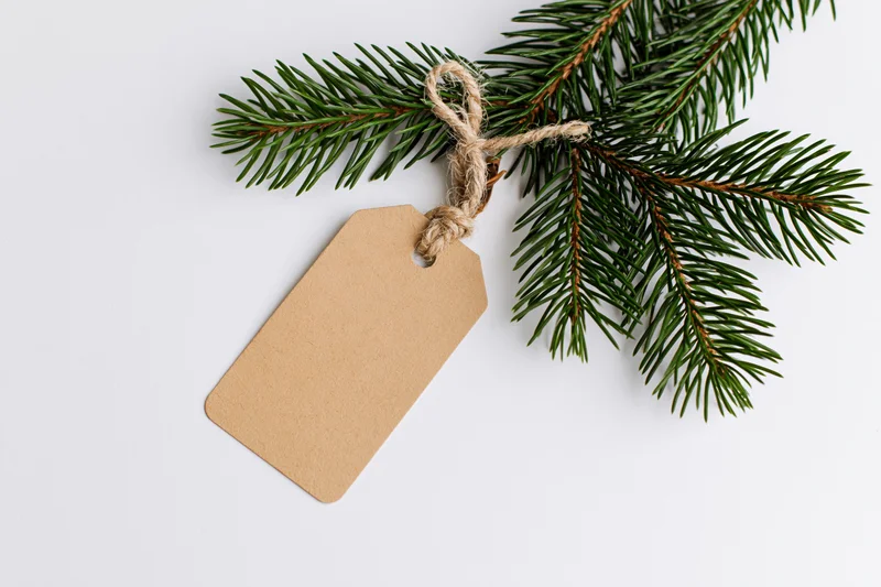 Fir branch with blank kraft paper tag tied with twine on white background