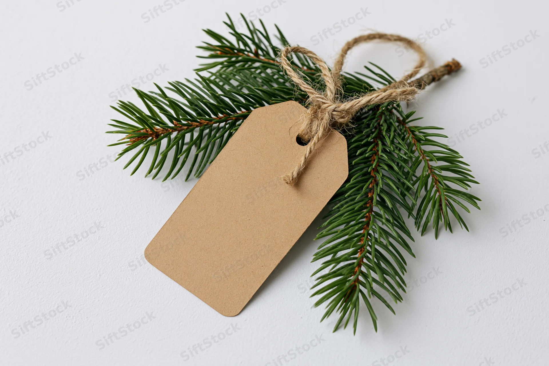 Fir branch with blank kraft tag tied with twine on white surface