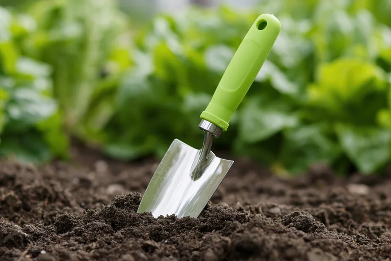 Small garden trowel with green rubber handle stuck in soil near lettuce plants
