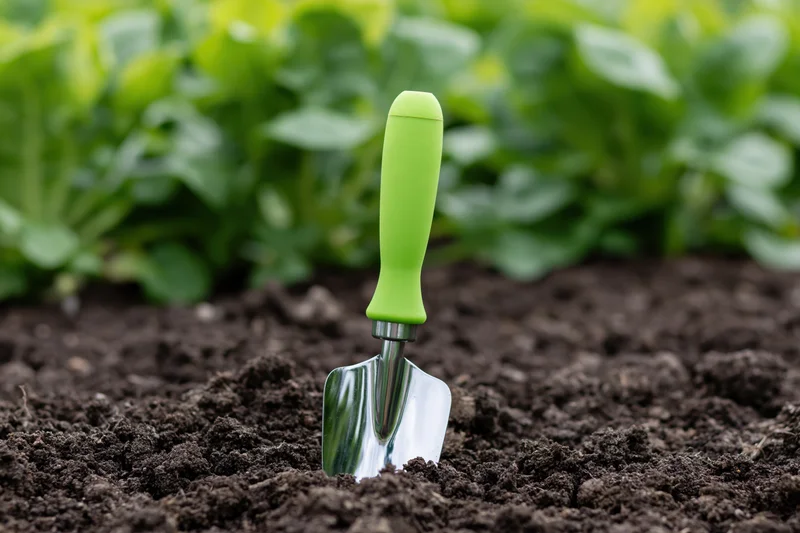 Small garden trowel with green rubber handle stuck in dark soil near leafy plants