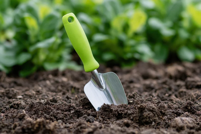 Small garden trowel with green rubber handle stuck in soil near leafy vegetables