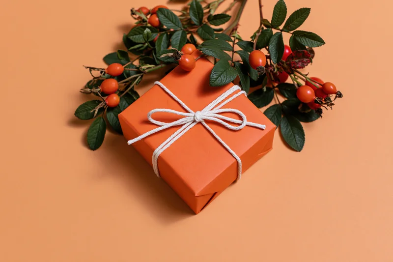 Orange gift box wrapped in matte kraft paper with white twine bow and rosehip branches on peach background