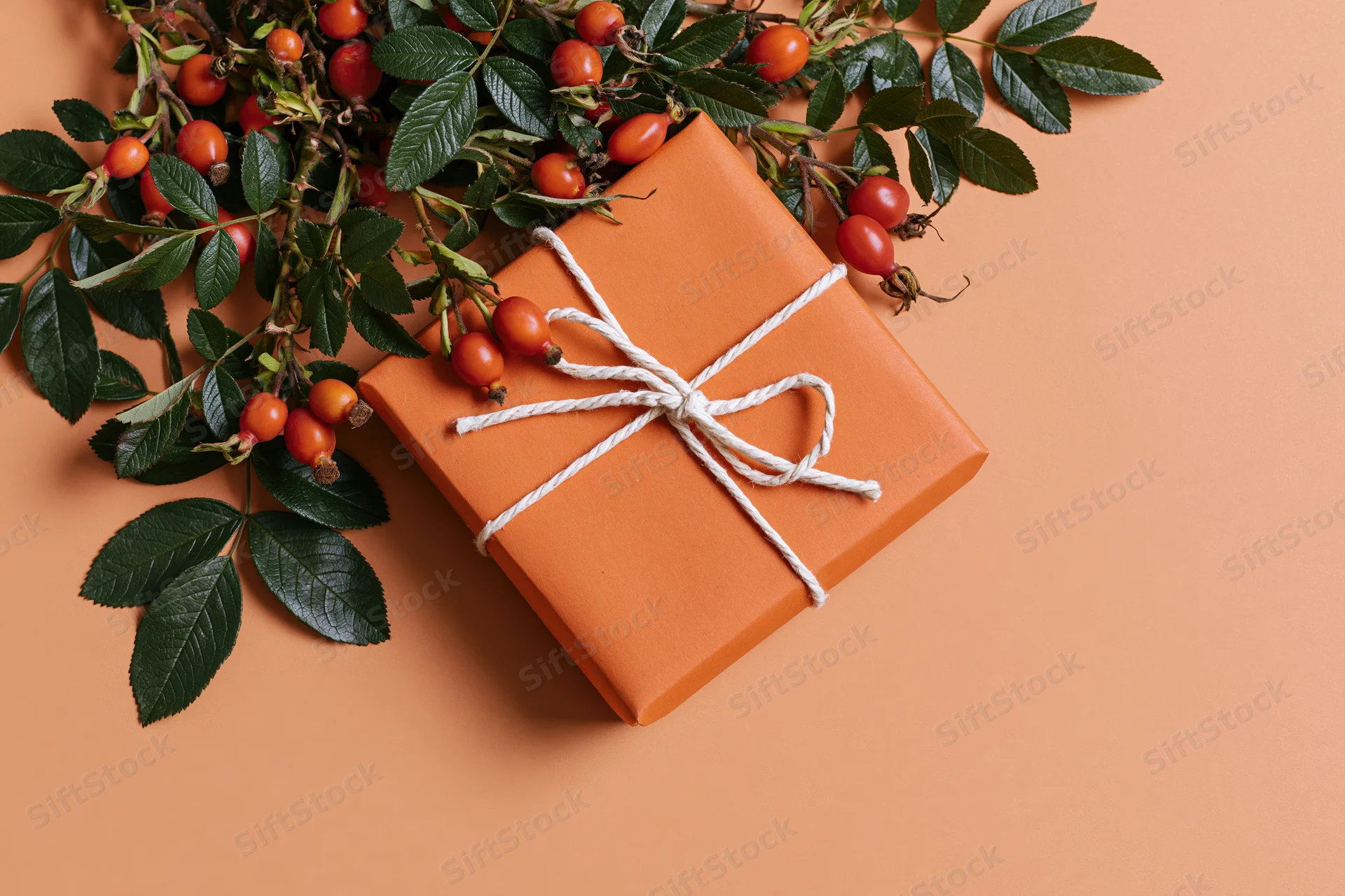 Orange gift box wrapped in matte kraft paper with twine bow and rosehip branch on peach background