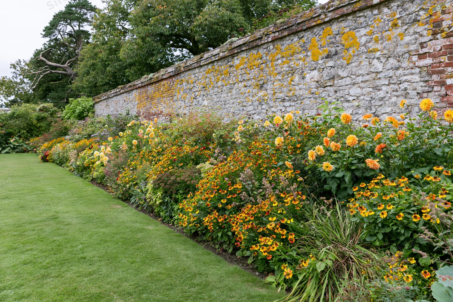 Dense herbaceous border of yellow and orange flowers along a stone and brick garden wall beside a green lawn