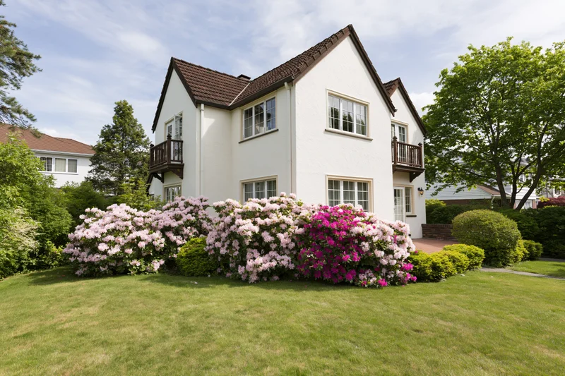 White two-story suburban house with dark tiled roof and blooming rhododendron bushes in front yard
