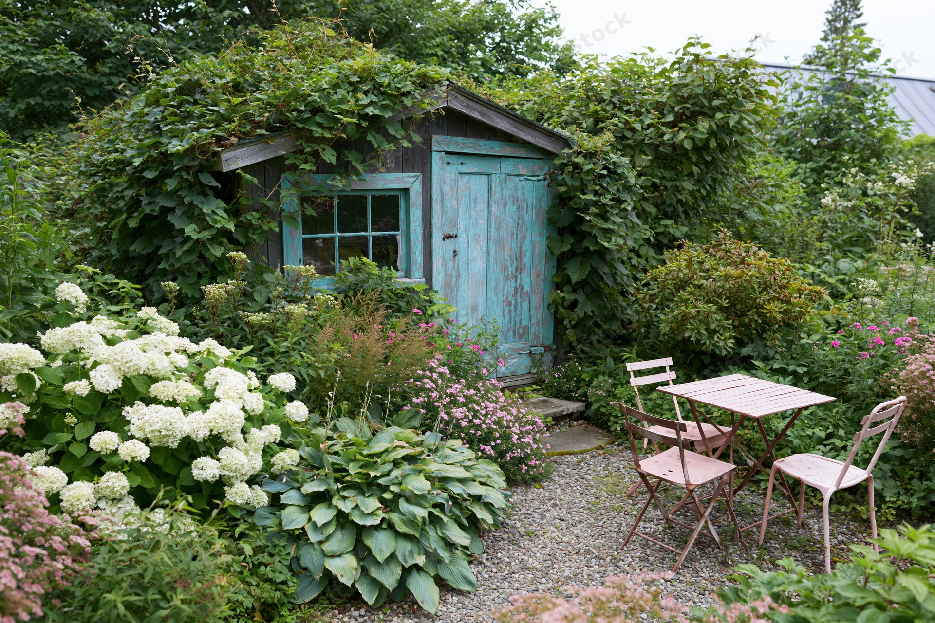 Weathered wooden garden shed covered in green vines and flowers with small table and chairs on gravel patio