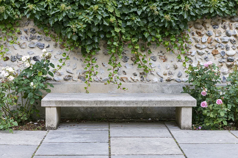 Stone bench in a garden with ivy and roses against a stone wall