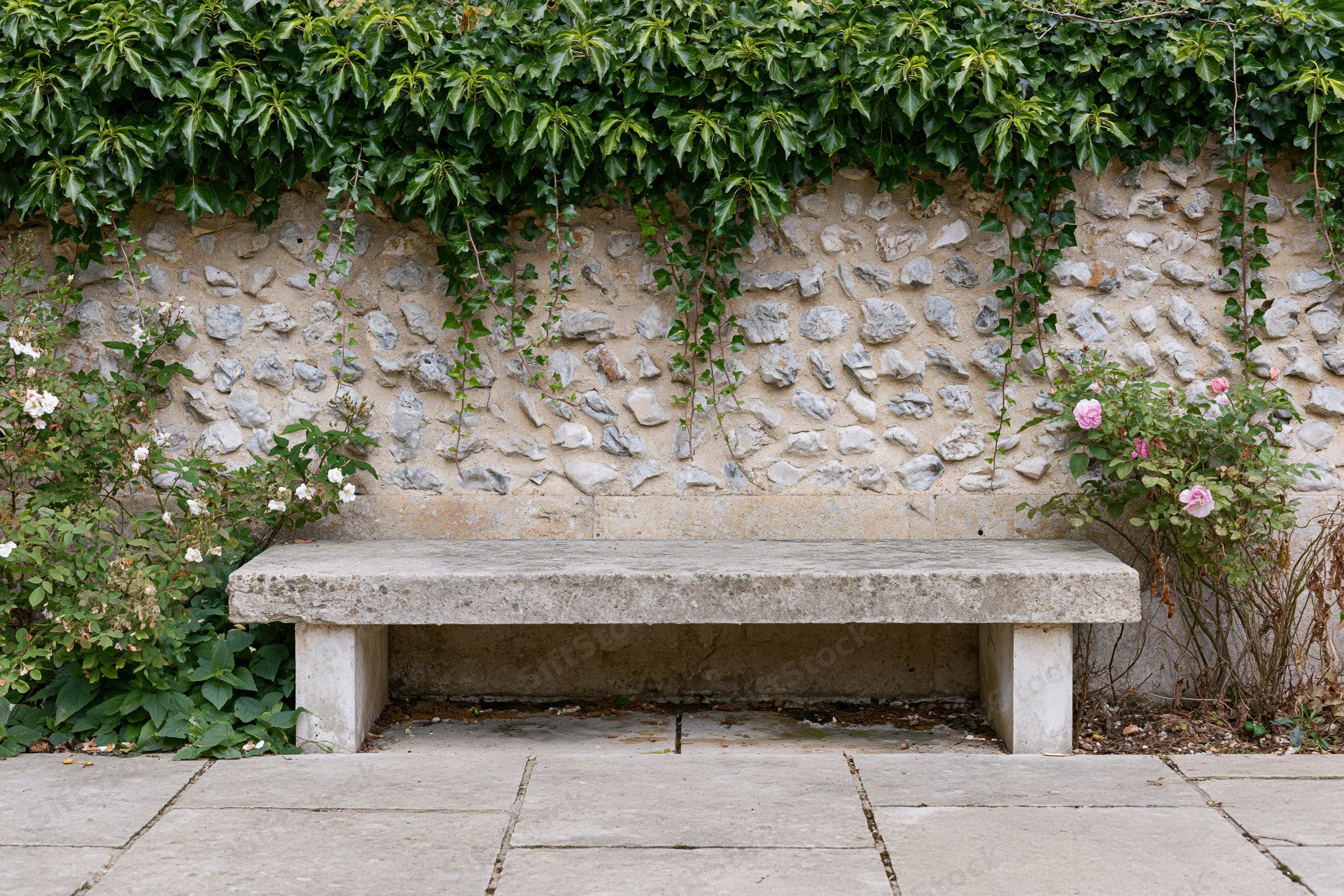 Weathered stone bench sitting empty against a stone wall covered in ivy and flowering shrubs in a garden courtyard