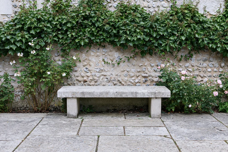 Weathered stone bench in a garden courtyard surrounded by ivy and flowering shrubs