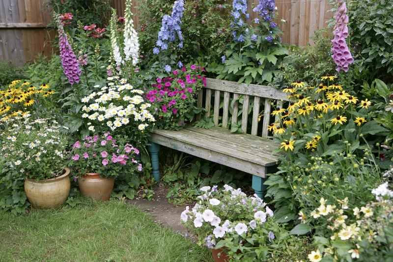 Weathered wooden bench surrounded by blooming flowers in a cottage garden