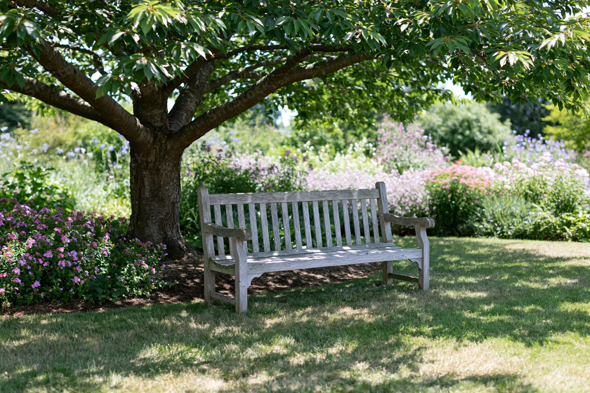 Weathered wooden bench under a large tree in a flower-filled garden