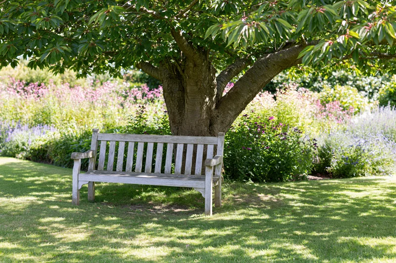 Weathered wooden bench under a large tree in a garden with blooming flowers and dappled sunlight on the grass