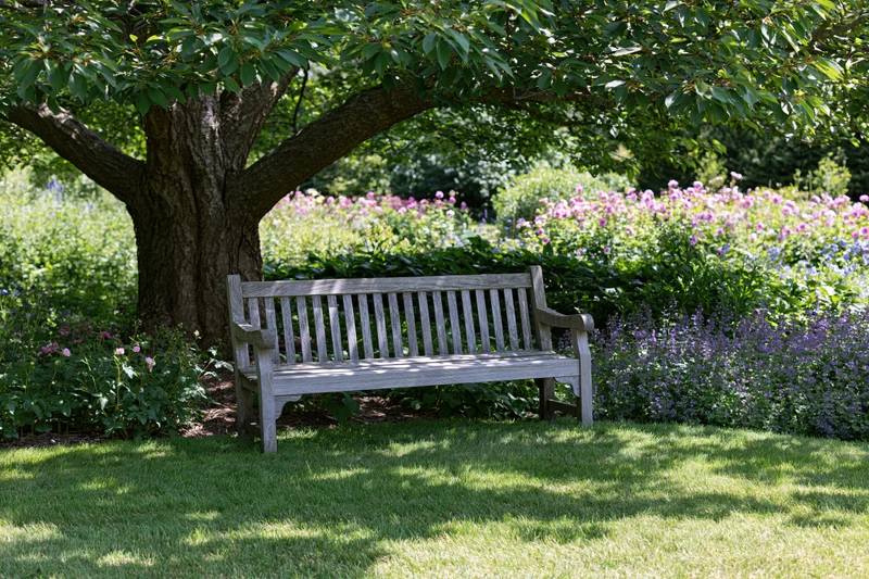 Weathered wooden bench under a large tree in a flower-filled garden with green grass and blooming shrubs