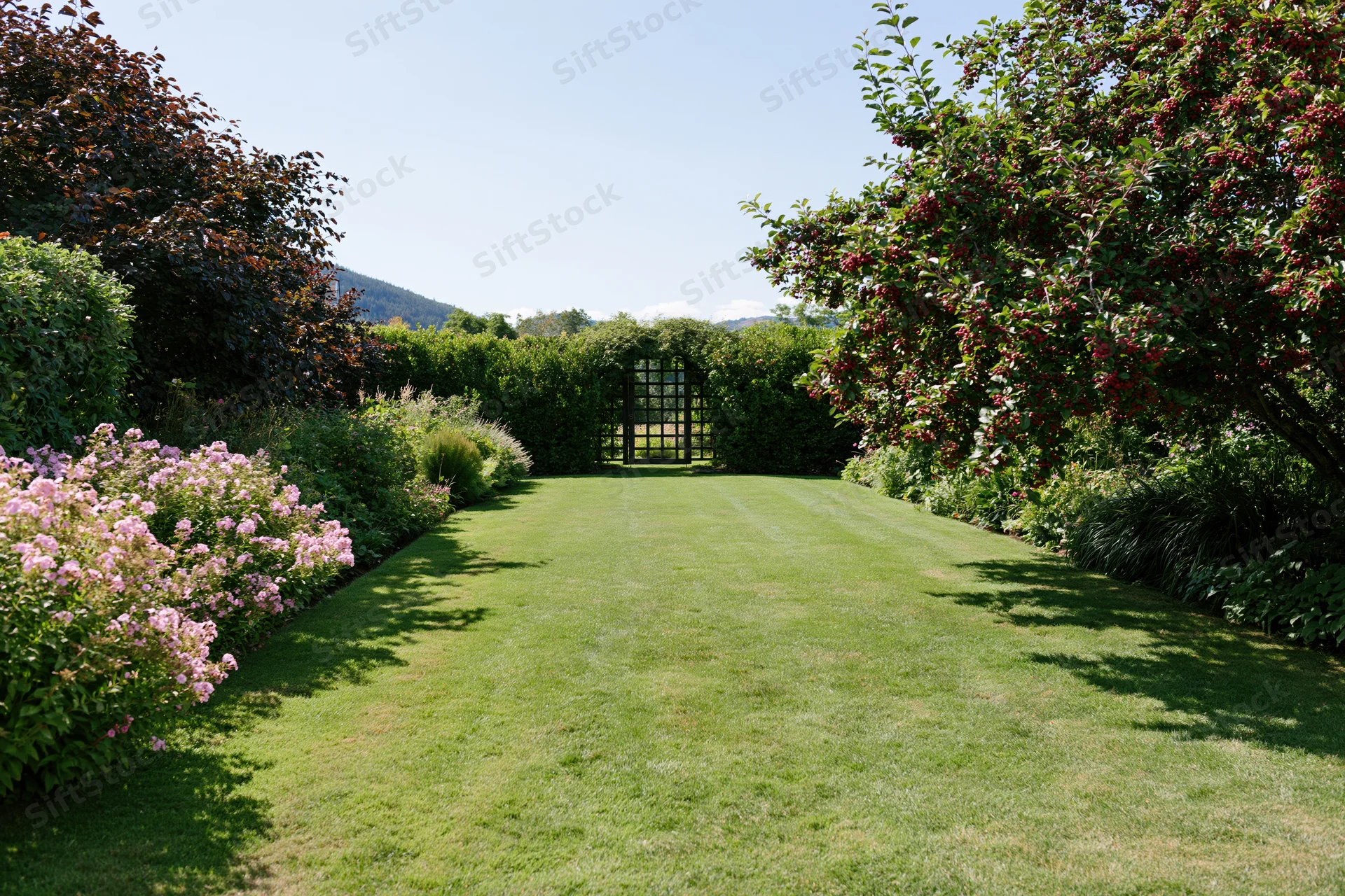 Mown grass lawn stretching toward a hedge gate in a private garden bordered by flowering shrubs and trees