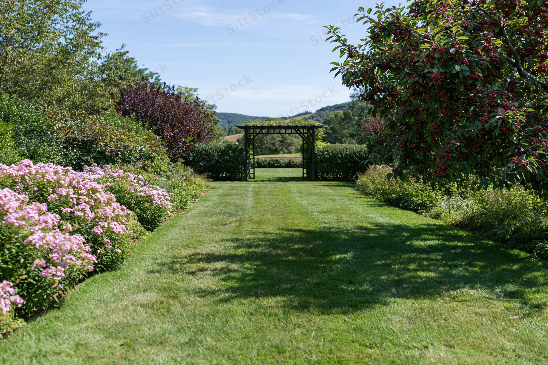 Mown grass pathway lined with pink flowers and green shrubs leading to a wooden arch in a private garden