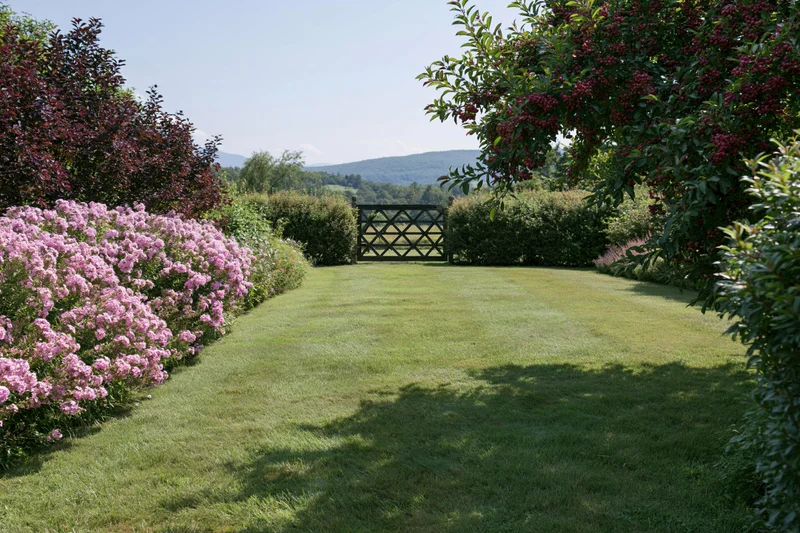 A well-kept private garden with a mown grass lawn stretching toward a wooden gate framed by flowering shrubs and hedges