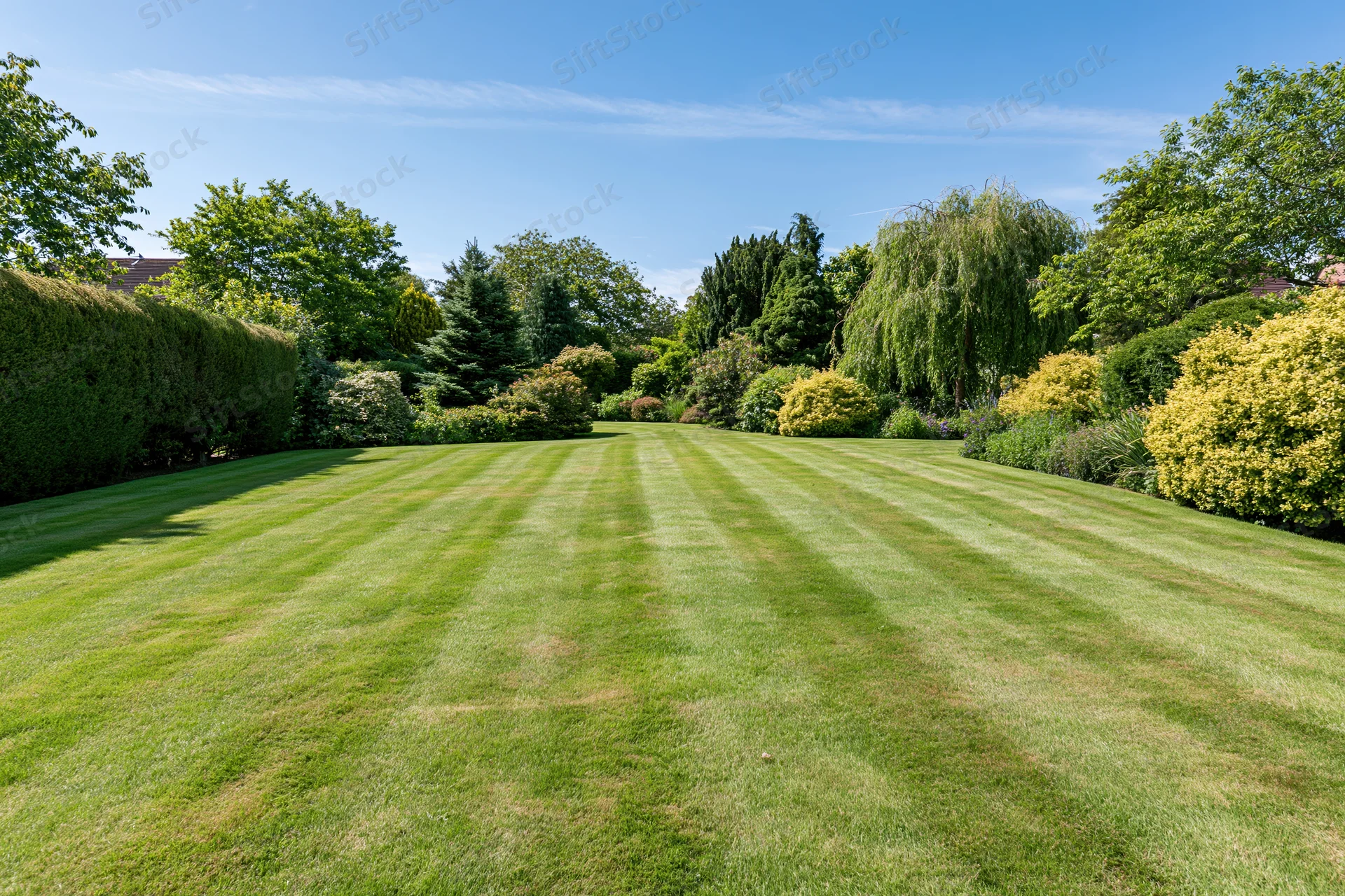 Striped lawn in a well-maintained english country garden surrounded by trees and shrubs