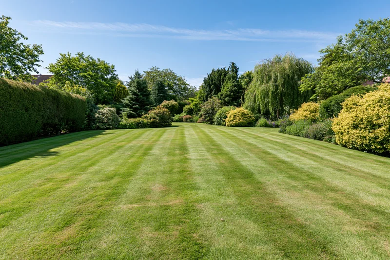 Striped lawn in a well-maintained english country garden surrounded by trees and shrubs