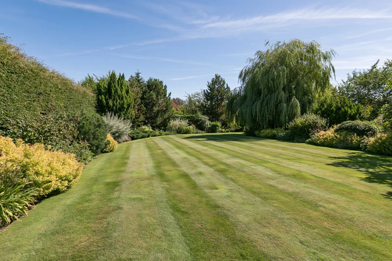 Striped lawn in a well-maintained english country garden surrounded by trees and shrubs