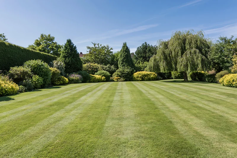 Striped lawn in a well-maintained english country garden with trees and shrubs under a clear blue sky