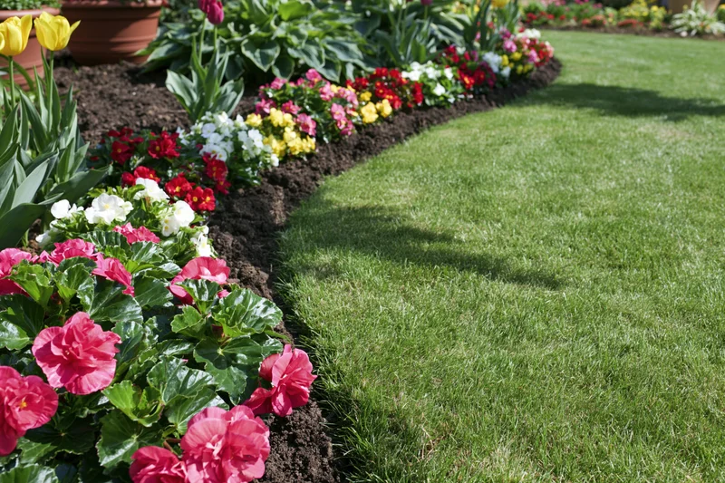Curved green lawn bordered by colorful flowers in a residential garden