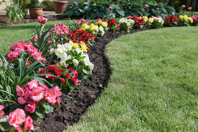 Curved flowerbed with colorful blooms along a green lawn in a residential garden