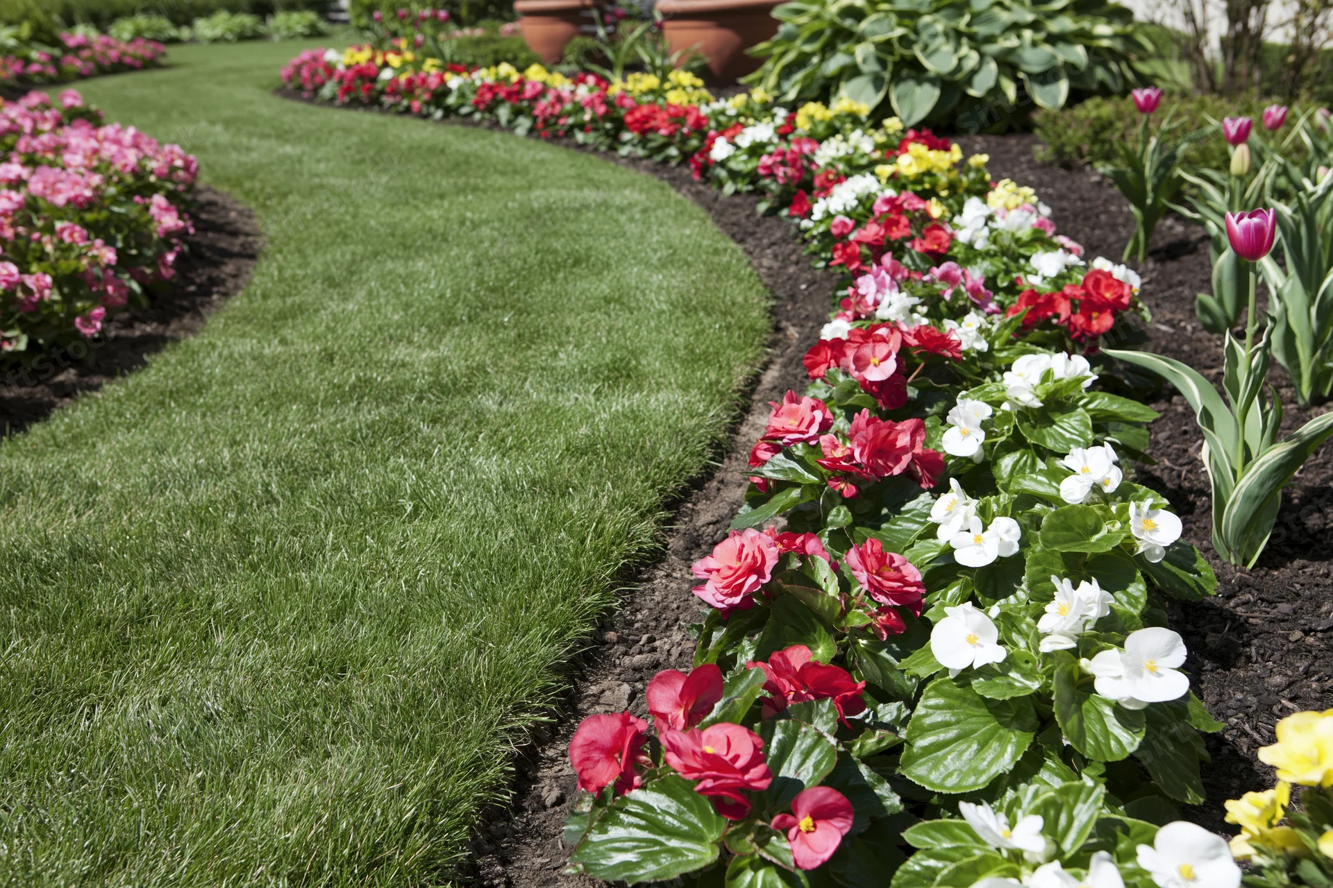 Curved green lawn bordered by colorful flowerbeds in a residential garden