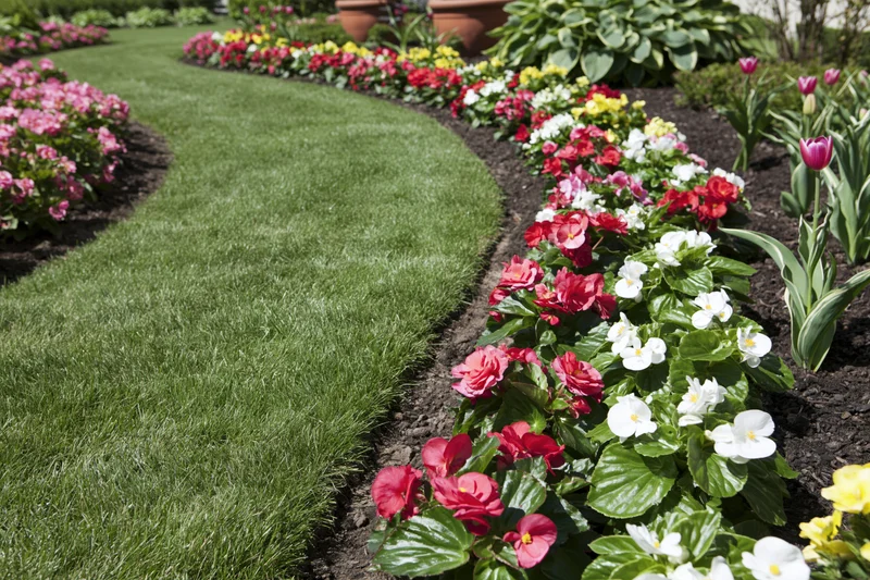 Curved green lawn bordered by colorful flowerbeds in a residential garden
