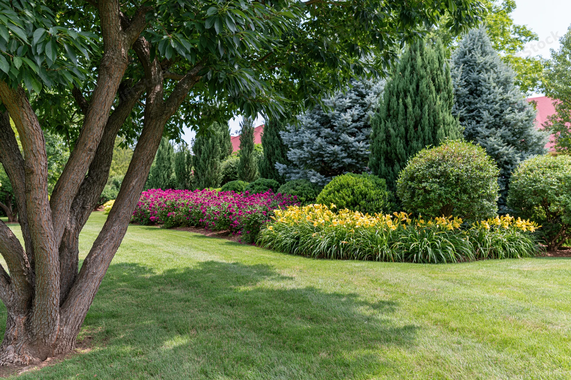 Well-maintained residential garden with multi-trunk tree, colorful flower borders, and manicured lawn under daylight