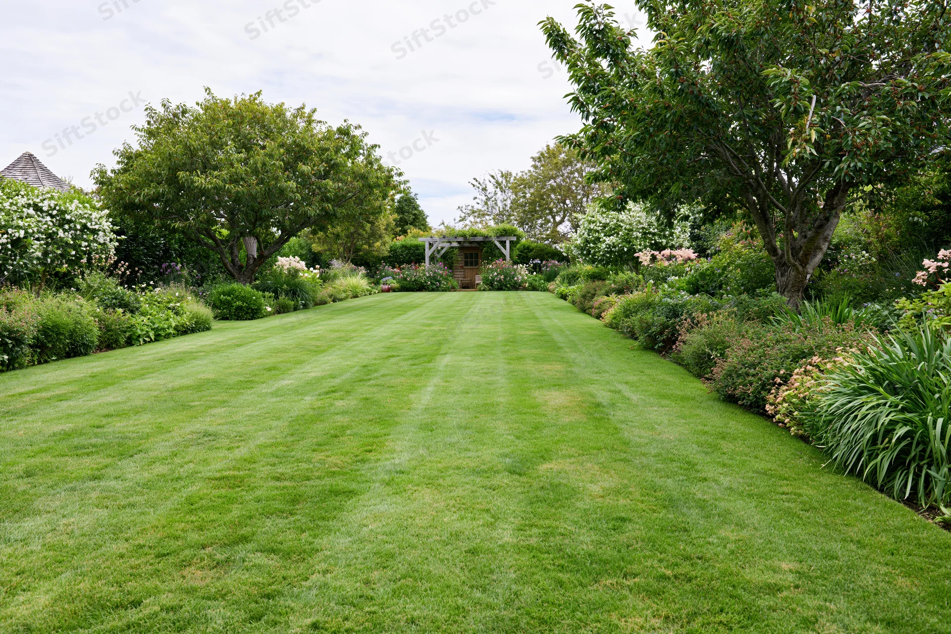 Neatly mowed lawn bordered by shrubs and trees in a residential garden