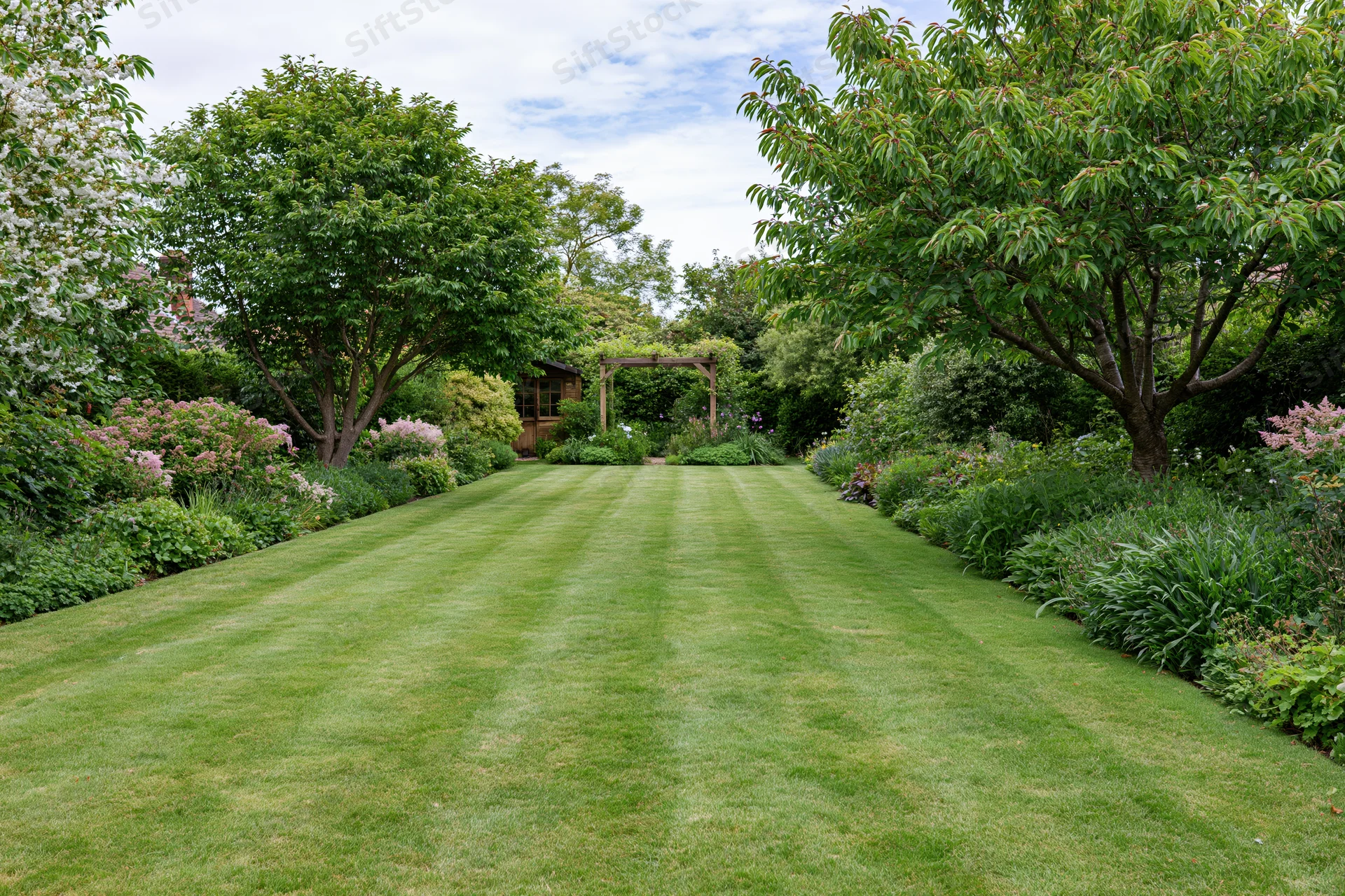 Neatly mowed green lawn bordered by trees and flowering shrubs in a residential garden