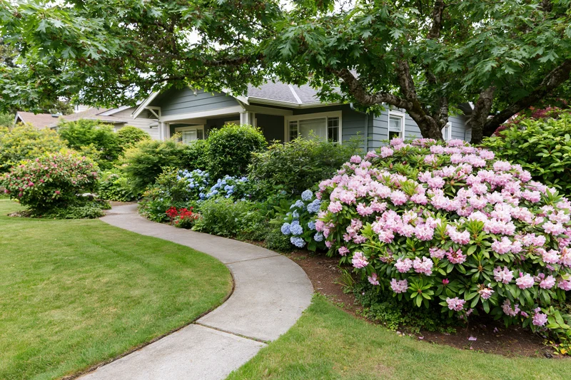 Curved concrete pathway winding through a flowering garden in front of a suburban house